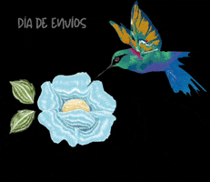 Cucuyo GIF