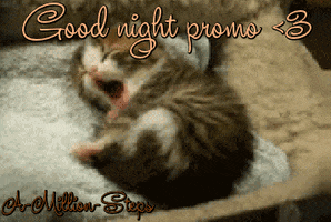 good night kitten GIF