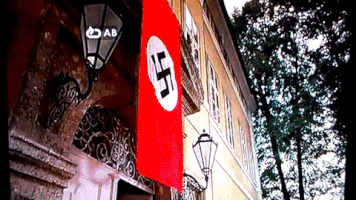 alexandrecanijo flag racism hitler nazi GIF
