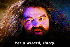 Harry Potter And The Philosophers Stone GIF - Find & Share on GIPHY