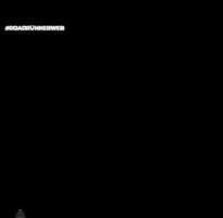 Roadrunner GIF