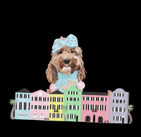 Golden Doodle Influencer GIF by Honey Boo Designs