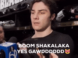 Chicago Blackhawks Hockey GIF