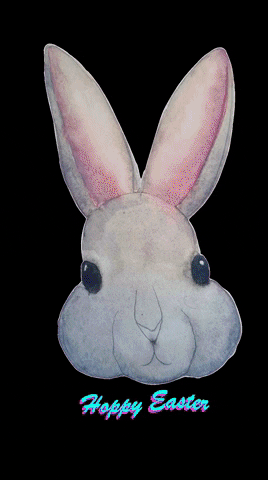 peggyroad bunny rabbit easter GIF