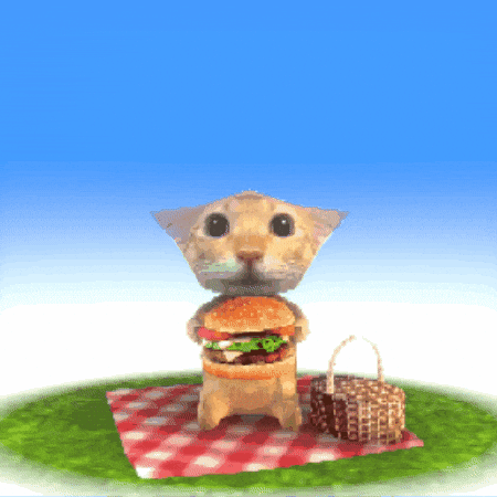 Cat GIF