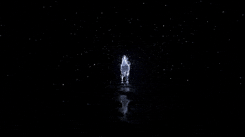 Horse Win GIF by vcreativeit