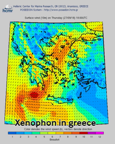 Wind Weather GIF