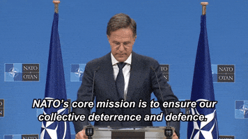 Strongertogether Otan GIF by NATO
