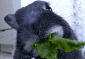 Baby Eating GIF