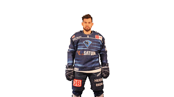 ERC Ingolstadt Sticker