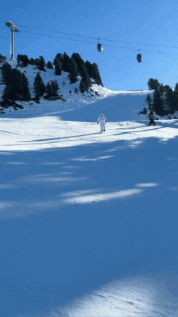 Snow Ski GIF by Wilson