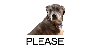 STEM Cell Robotics Sticker