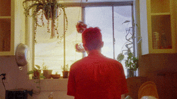 200.gif?cid=fc005b086bf51351ad7ce6d8297cdb80d634e4228fb28066&rid=200.gif&ct=g