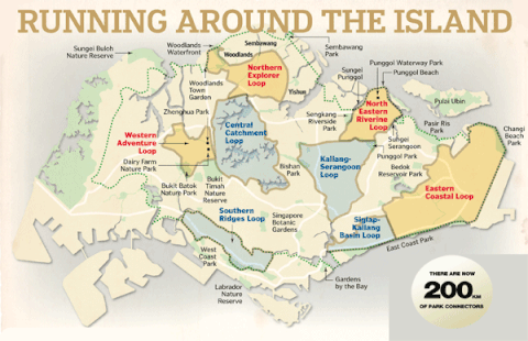 singapore grand prix