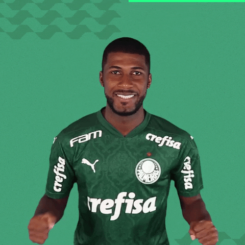 Puma Santos GIF by SE Palmeiras
