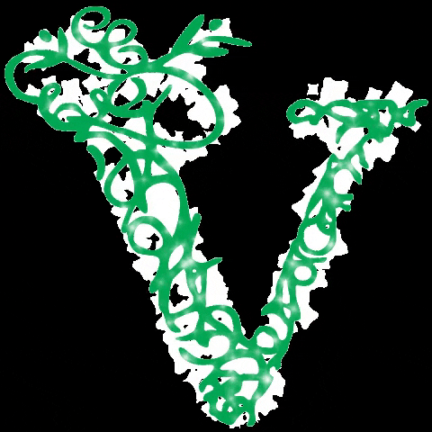 verandaallday GIF