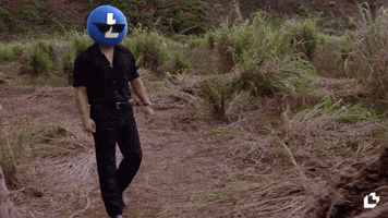 Jurassic Park Wtf GIF by LitVM