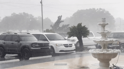 giphy.gif?cid=6c09b9523ciovggdwmpq9l3blv