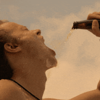World Bee Day Gifs Get The Best Gif On Giphy