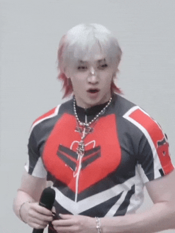 Sassy Stray Kids GIF