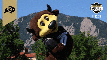 College Sports Colorado GIF by College Colors Day