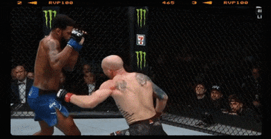 vibehealthbar GIF