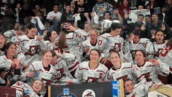 Winning Womens Hockey GIF by Norwich University