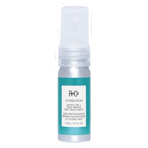 Salon Hair Treatment Sticker by R+Co