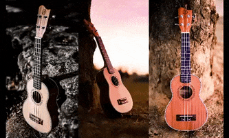 Musicero Ukulele GIF