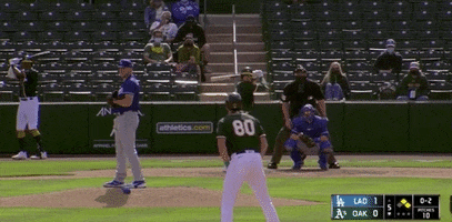 Cleav Sl 22821 GIF