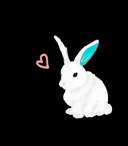 Coelho Love Rabbit Miafrois GIF - Find & Share on GIPHY