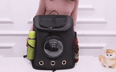 GIF animado