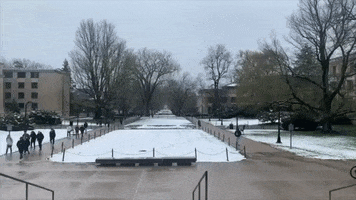 Penn State Snow GIF by Storyful