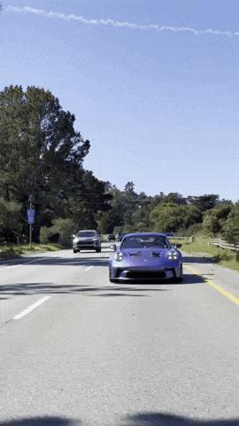 Purple GIF