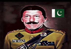Imran Khan Pakistan GIF