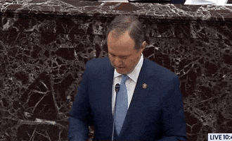 Adam Schiff Tbh GIF by GIPHY News