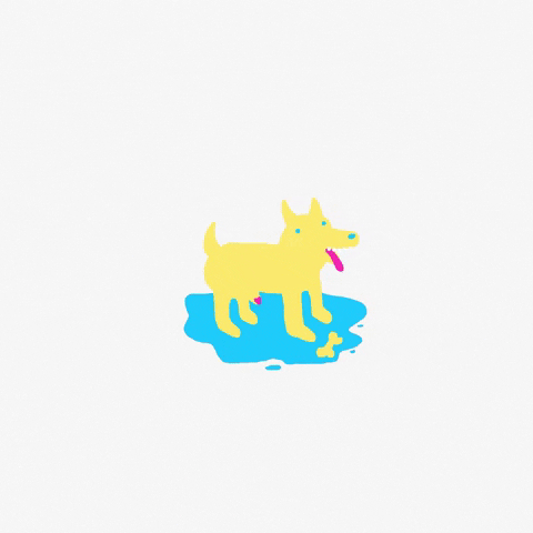 Dog Bubblegum GIF