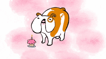 Happy Birthday Dog GIF by Kimmy Ramone