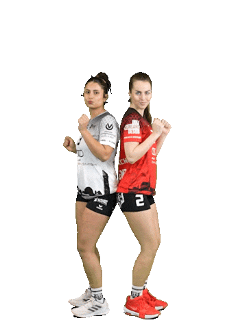 Volleyball Svf Sticker by Rotes Rudel