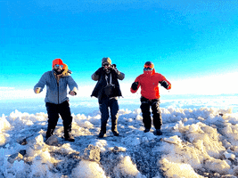 Pnw GIF