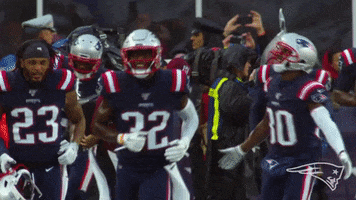 Happy National Football League GIF by New England Patriots