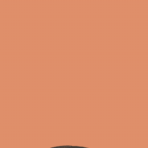 Cheers GIF