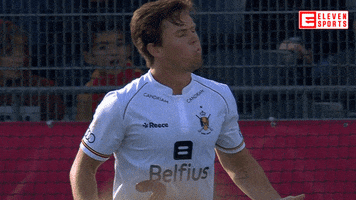 Disappointed Red Lions GIF by ElevenSportsBE