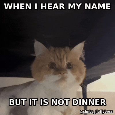 Dinner GIF