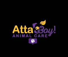 Dog Walker GIF by Atta Boy! Animal Care