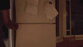 Party Fridge GIF by Meow Wolf