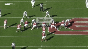 Cfcbears GIF