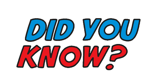 Did You Know Facts Sticker by Frau Professor for iOS & Android | GIPHY