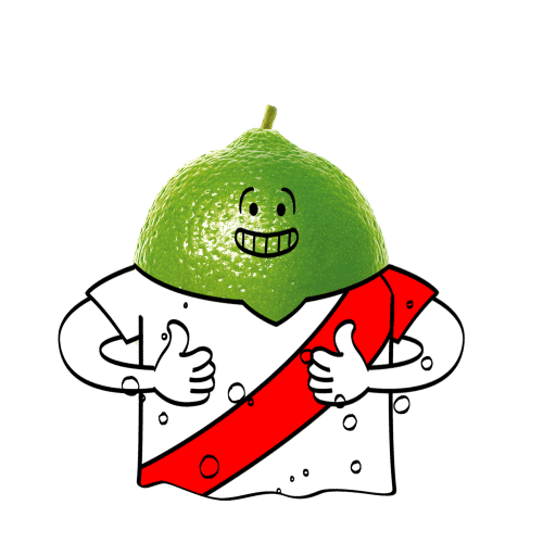 Futbol Peru Sticker by Del Valle&Nada Chile