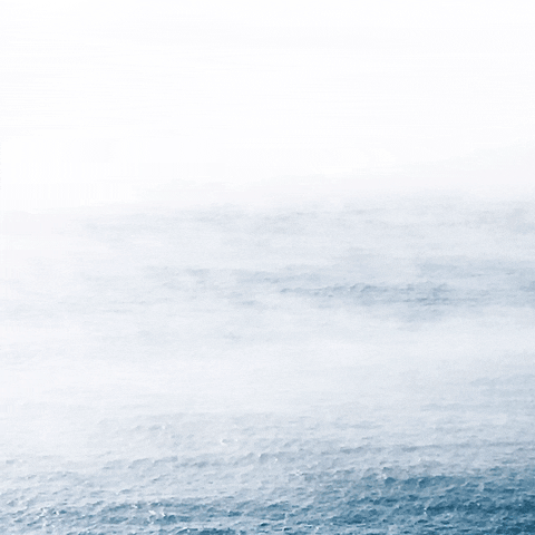 Og GIF by Oceanic Global